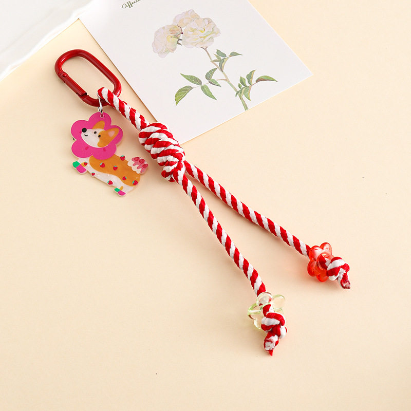 Handyband mit Dopamin-Farbenem – Ysl Phone Accessories Bewertung und Preis